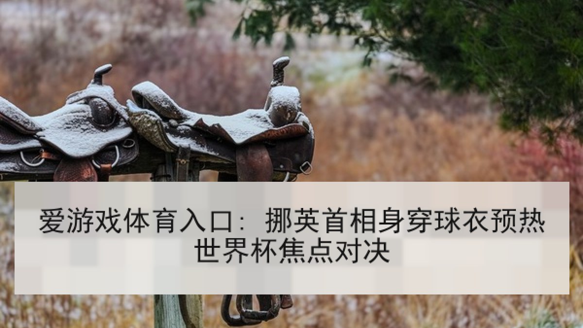 爱游戏体育入口: 挪英首相身穿球衣预热世界杯焦点对决