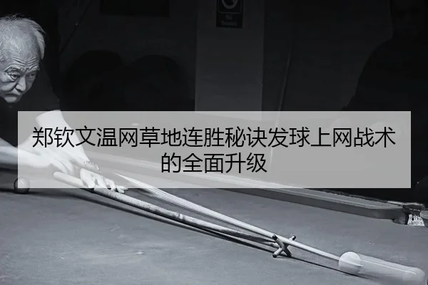 zheng-qin-wen-wen-wang-cao-di-lian-sheng-mi-jue-fa-qiu-shang-wang-zhan-shu-de-quan-mian-sheng-ji-3-600.jpg