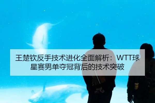 王楚钦反手技术进化全面解析：WTT球星赛男单夺冠背后的技术突破